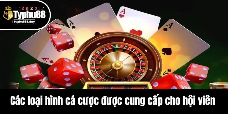 Các loại hình cá cược được cung cấp cho hội viên