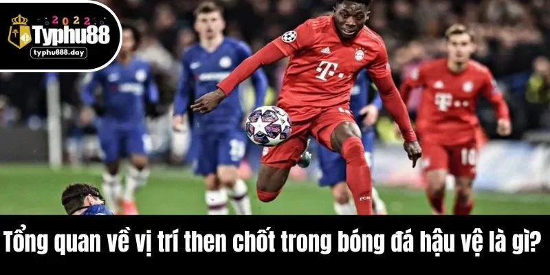 Tổng quan về vị trí then chốt trong bóng đá hậu vệ là gì?